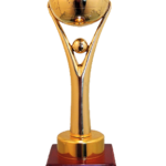 INDIAN CONSTRUCTION AND DESIGN AWARD
